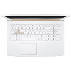 Ноутбук Acer Predator Helios 300 PH315-51-776L (NH.Q4HEU.006) White