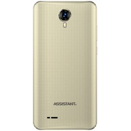 Мобильный телефон ASSISTANT AS-5421 SURF gold 