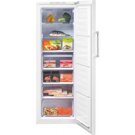 Морозильная камера BEKO RFNK290T21W