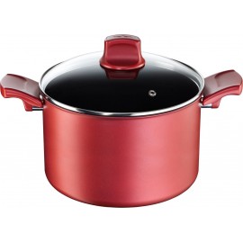 Кастрюля TEFAL Character C6824475